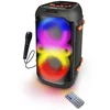 Esperanza EP156 BT FM LED RGB KARAOKE Speaker Juodas 20W