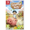 Everdream slėnis – Nintendo jungiklis