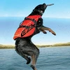 Ezydog - Gelbėjimosi liemenė X2 Boost, raudona, S, 9-20 kg