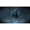 „Fatal Frame: Maiden of Juodas Vanduo“ – „Nintendo Switch“