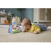 „Fisher-Price“ – „Balanced Beginnings“ 2 viename veidrodėlis (JHB45)