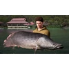 „Fishing Sim World: Pro Tour“ kolekcionieriaus leidimas – asmeniniams kompiuteriams
