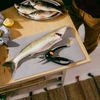 Fiskars - FunctionalForm žvejybos žirklės - 22 cm