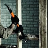 „Fiskars IsoCore“ griovimo įrankis, L dydžio