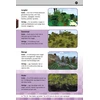 KNYGA Forlaget Tukan Bliv žaidime „Minecraft“ meistras