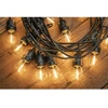 Girlanda Sodo girlianda 5 m, 10 LED lempučių, 220 V