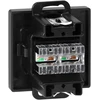 Gniazdo Dviguba RJ45 Cat5 Jungtis Pearl, Juoda