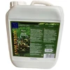 Happy Life „Laimingas gyvenimas“ – „Laimingas augalas“ 5 l – (13705)
