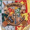 Harry Potternemesis Now Hario Poterio kolekcinė taurė „Auksinis Snitchas“