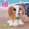 Hasbro FurReal - Daug kakučių - karaliaus Karolio spanielis (272-28159)