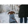 Hunter - Šuninis paltas Paxson Dachshund 33, mėlynas - (203512)