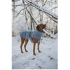 Hunter - Šuninis paltas Paxson Dachshund 33, mėlynas - (203512)