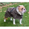 Hunter – šunų kailis Nordby Pug Fr Bulldog 40, alyvuogių – (203506)