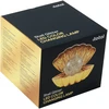 „iTotal“ – „Shell“ lempa – auksinė – kompaktiška