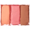 Jason Wu Beauty - Skaistalų trio paletė - „Sexed“ - 14,4 g