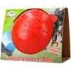 „Jolly Pets“ – „Jolly“ futbolo kamuolys – oranžinis – L (20 cm)