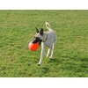Jolly Pets - Kamuolys šokinėjantis ir žaidžiantis - 15 cm - Oranžinis (vanilės kvapo) - (JOLL068G)