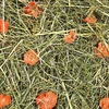 Jr Farm - kalnų pievų šienas su morkomis - 1,5kg