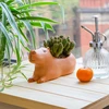 Kikkerland – Cappy the Capybara Planter – didelis