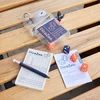 Kikkerland - Dicezee Travel Game