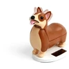 Kikkerland – Elroy The Royal Solar Corgi (1603 m.)