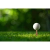 Kikkerland – Gopher Golf Tee S/6