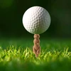 Kikkerland – Gopher Golf Tee S/6