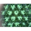 Kikkerland – Haklberio kaleidoskopas (HB15)