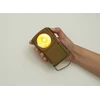 „Kikkerland“ – „Huckleberry Morse Code Light“ (HB16-EU)