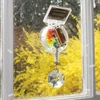 Kikkerland – Rainbowmaker (RM1588-EU)