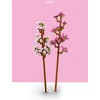 Klocki Botanicals 40725 Vyšnių žiedai