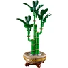 Klocki Botanikos blokeliai 10344 dracaena sandera