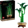 Klocki Botanikos blokeliai 10344 dracaena sandera