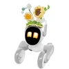 Megztas kostiumas „Loona Premium Sunflower“