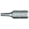 Końcówka Torx antgaliai 20 * 25 mm 25 vnt. [p.]