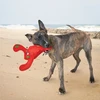 KONG - Pilvo šlepetės su omaru - M