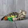 KONG – Wrangler AvoCATo 11cm – (KONGCA462E)