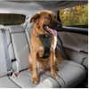 KURGO - „Tru-Fit Smart Harness“ su saugos diržo tvirtinimo detale M, 11–23 kg, juodos spalvos - (604.1222)