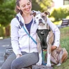 KURGO - „Tru-Fit Smart Harness“ su saugos diržo tvirtinimo detale M, 11–23 kg, juodos spalvos - (604.1222)