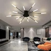 Lampa Fejerverkų sietynas LED lubinis šviestuvas, modernus svetainei, valgomajam, 12 W