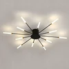 Lampa Fejerverkų sietynas LED lubinis šviestuvas, modernus svetainei, valgomajam, 12 W