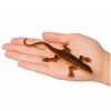 Lean Toys Driežo figūrėlė 12,5 cm