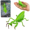 Lean Toys Maldininko figūra 18 cm
