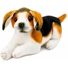 Lean Toys Pliušinis biglis šuo 25 cm