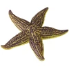 Lean Toys Jūros žvaigždės figūrėlė 9.5 cm
