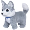 Little Live Pets Maži gyvi augintiniai – Ouchies Husky (26680)