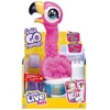 Little Maži gyvi flamingo augintiniai
