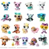 Littlest Petshop „Littlest Pet Shop“ – gyvūnų draugai, asorti, S5 (01007)