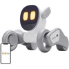 „Loona Premium“ interaktyvus robotas