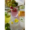 Lyngby Glas - Astrid vandens stiklinė - 25 cl – 6 vnt.